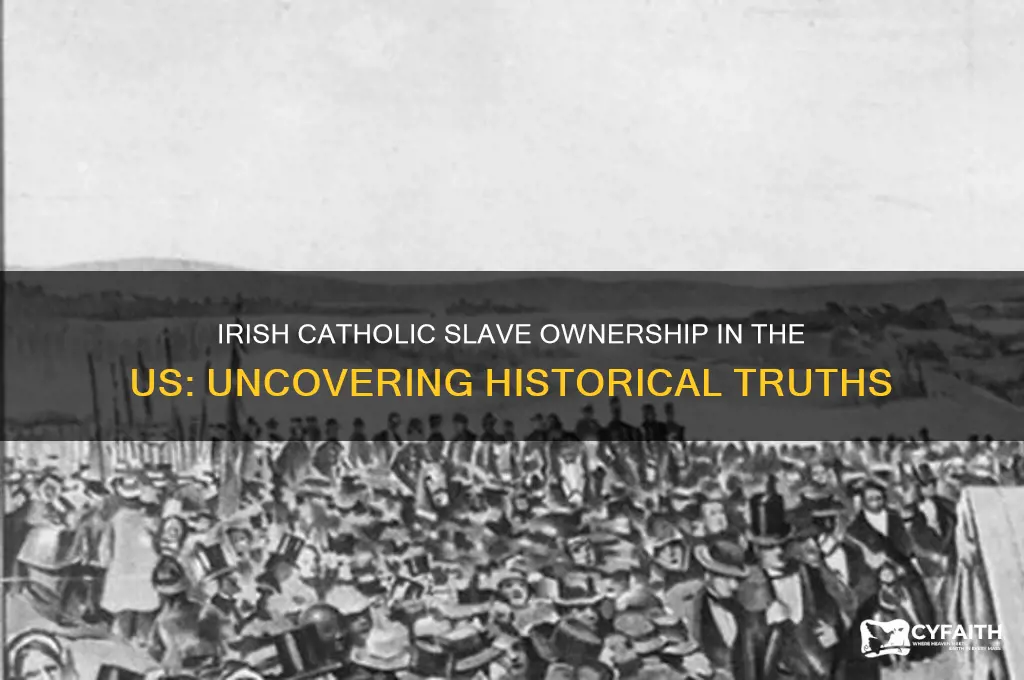 how many catholic irish slave owners were there in us