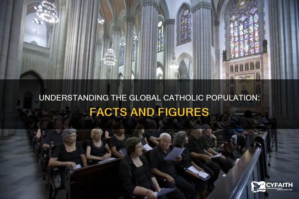 how many catholic l