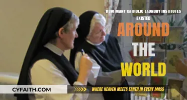 Exploring the Global Presence of Catholic Laundry Institutes Worldwide
