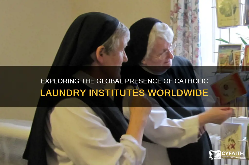 how many catholic laundry institutes existed around the world