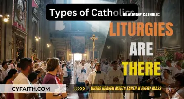 Exploring the Diversity of Catholic Liturgies