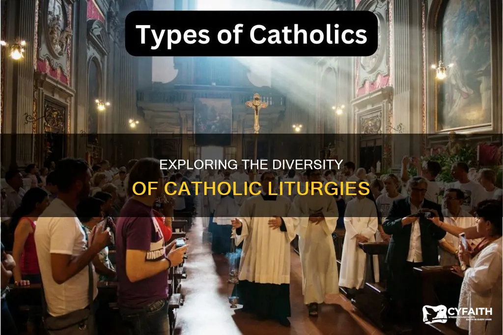how many catholic liturgies are there
