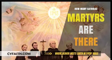 Martyrs of the Catholic Faith: Counting Their Cost