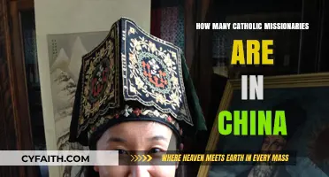Missionaries in China: A Catholic Presence