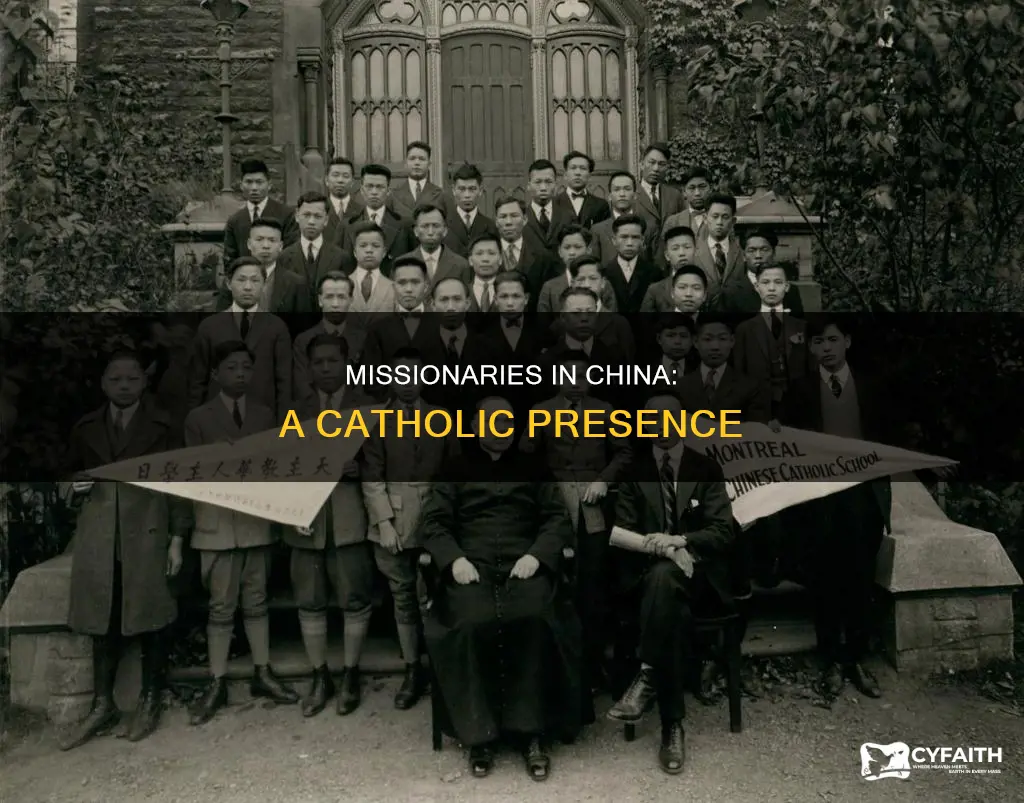 how many catholic missionaries are in china