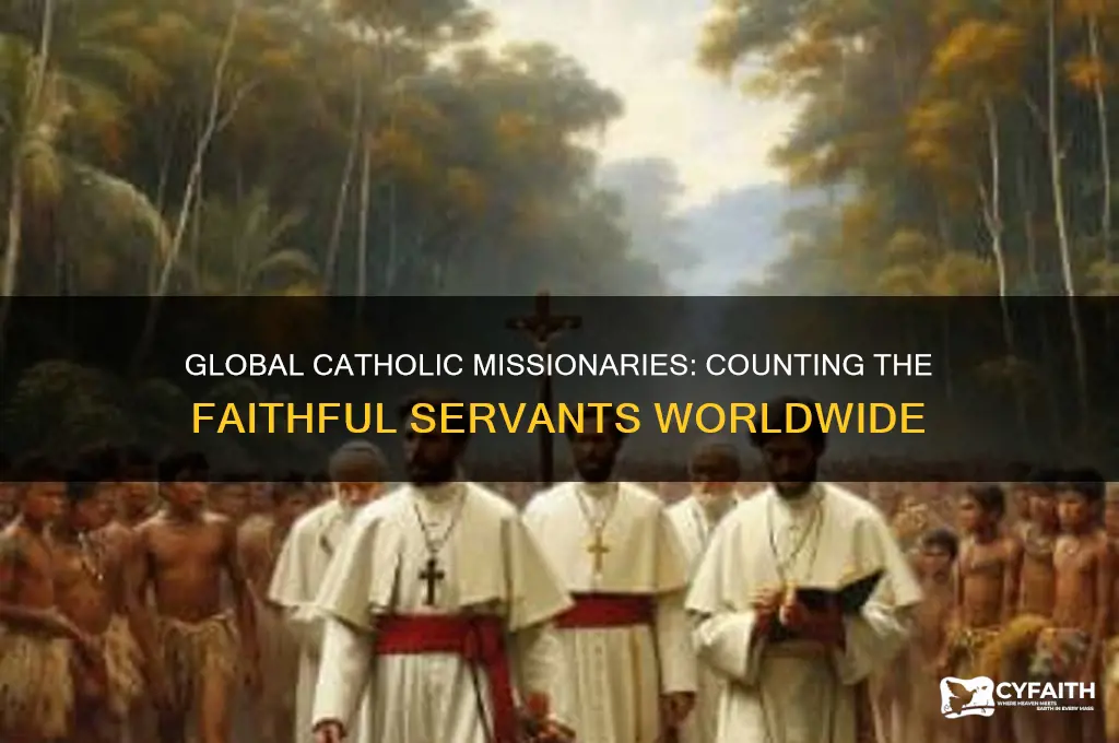 how many catholic missionaries are there in the world