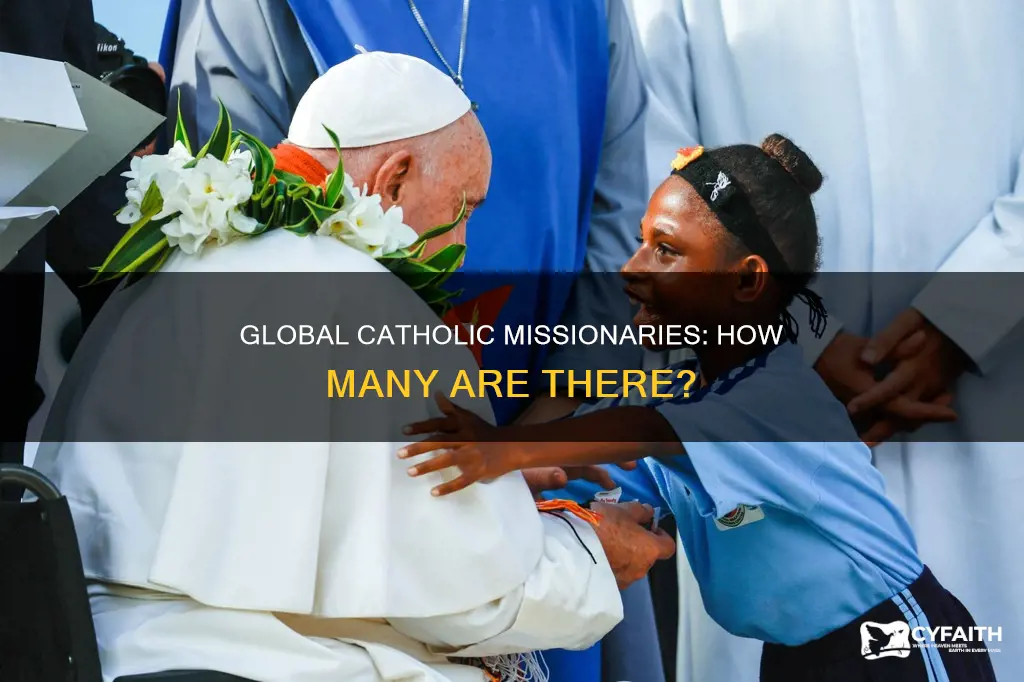how many catholic missionaries are there