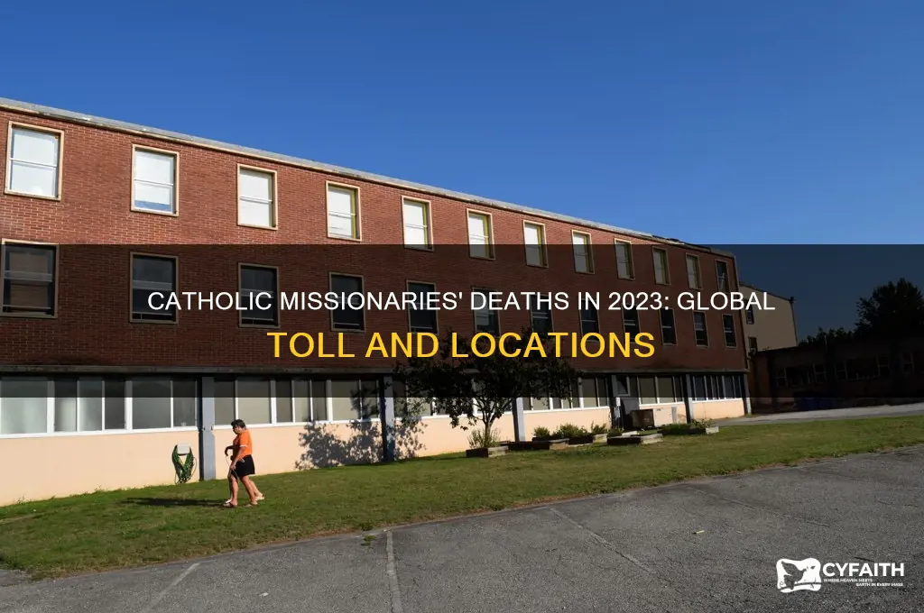 how many catholic missionaries have died this year and where