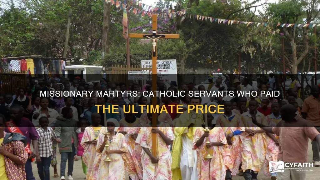 how many catholic missionaries have died while serving