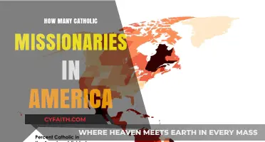 Missionaries in America: A Catholic Overview