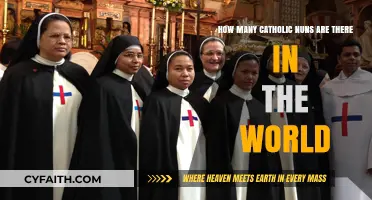 Global Catholic Nun Population: Exploring the Worldwide Sisterhood Today