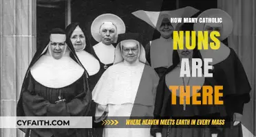 The Global Population of Catholic Nuns