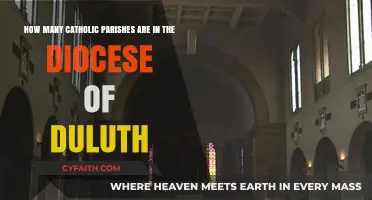 Exploring the Catholic Parishes Within Duluth Diocese: A Comprehensive Count