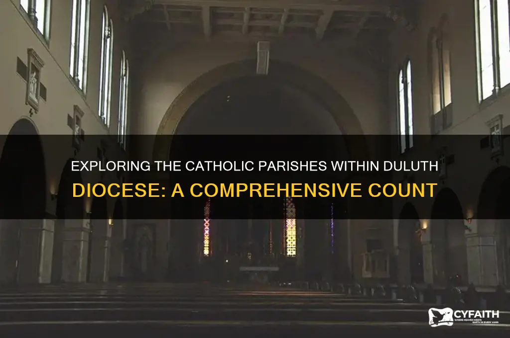 how many catholic parishes are in the diocese of duluth