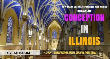 Illinois' Immaculate Conception Parishes: Exploring Catholic Communities and Their Names
