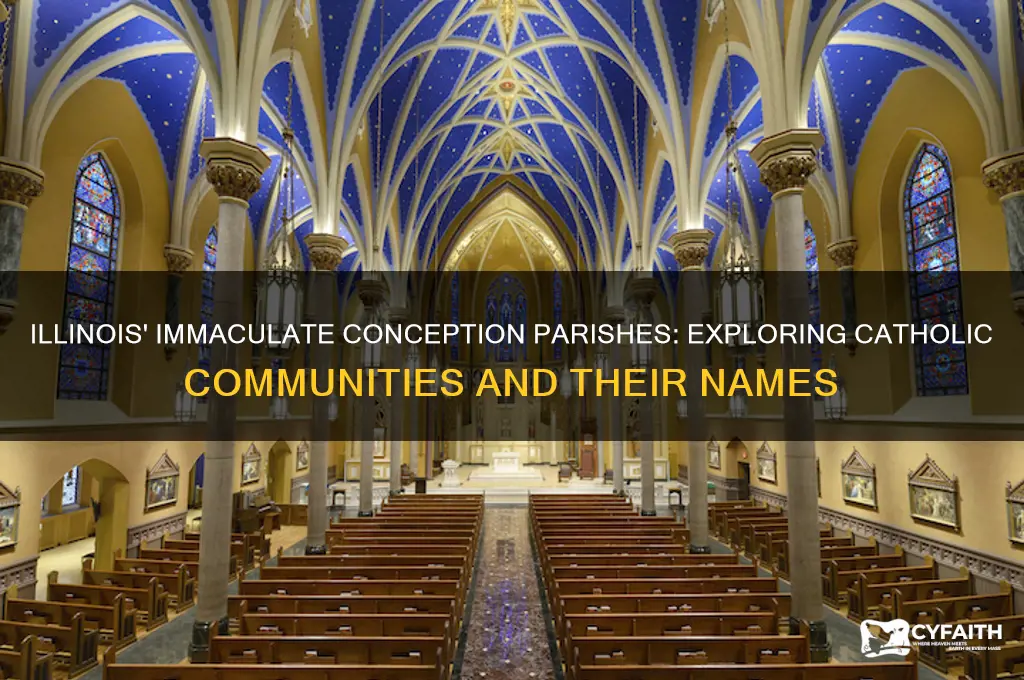 how many catholic parishes are named immaculate conception in illinois