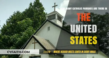 Exploring the Number of Catholic Parishes Across the United States