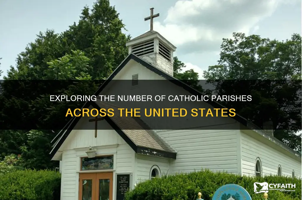 how many catholic parishes are there in the united states