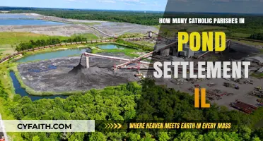Catholic Parishes in Pond Settlement, Illinois: A Comprehensive Guide