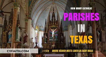 Catholic Parishes in Texas: A Comprehensive Count
