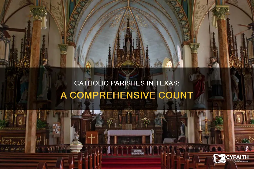 how many catholic parishes in texas