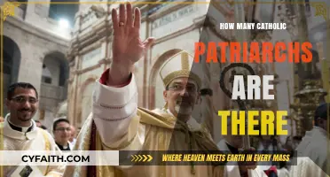 Exploring the Number of Catholic Patriarchs