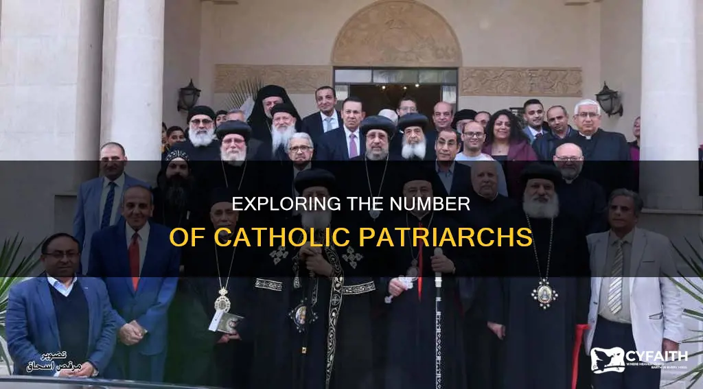 how many catholic patriarchs are there