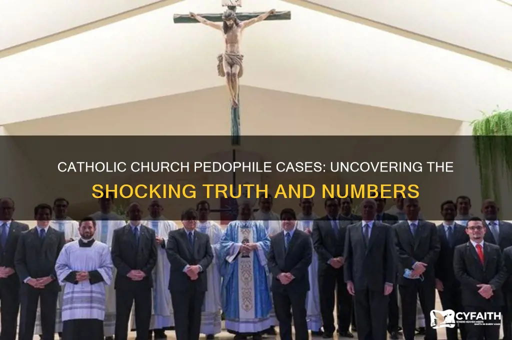 how many catholic pedophile cases