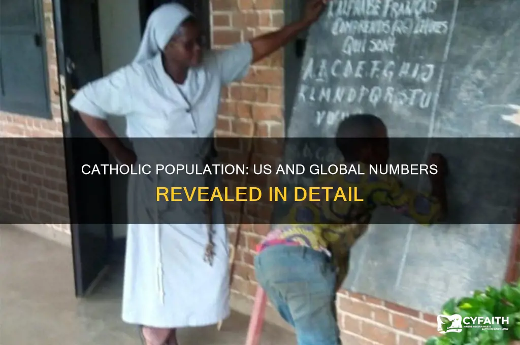 how many catholic people are in the us and globally