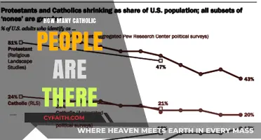The Global Catholic Population