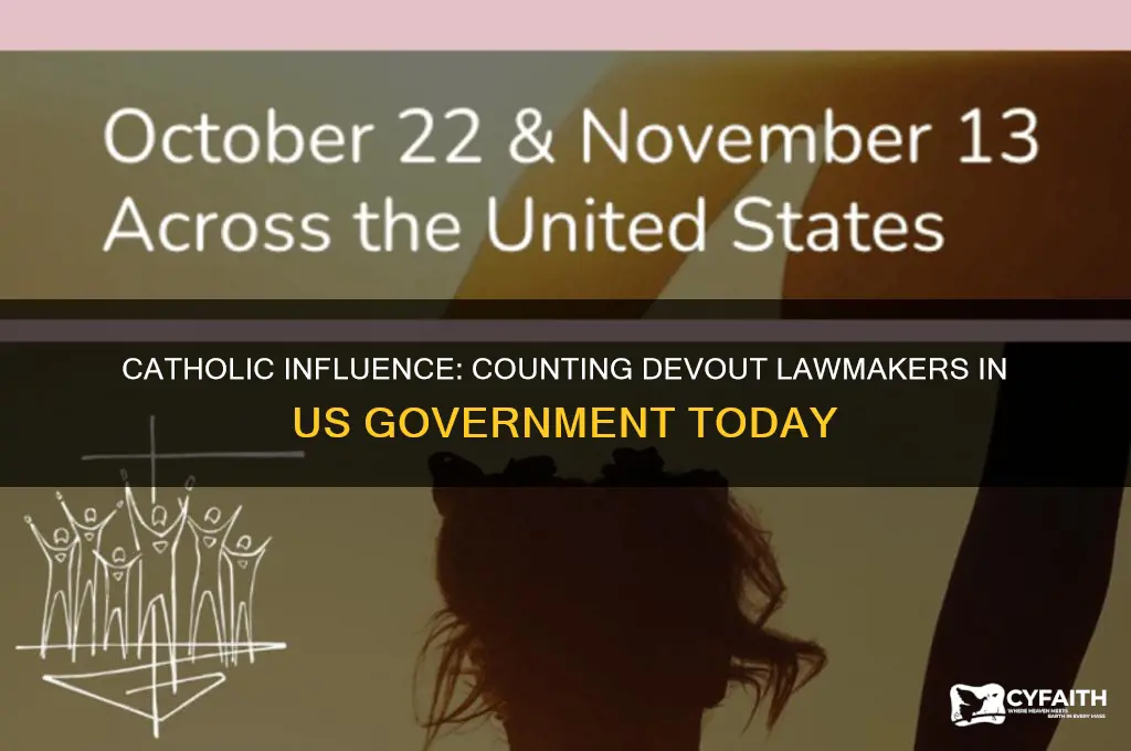 how many catholic polticans are in the us government