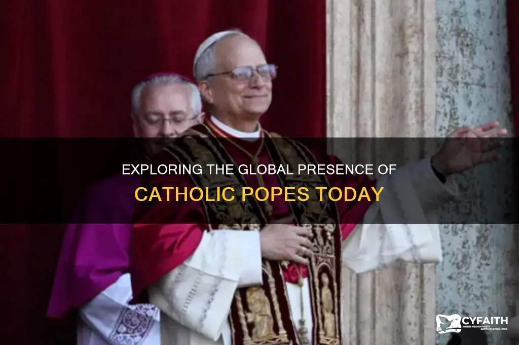 how many catholic popes are there in the world