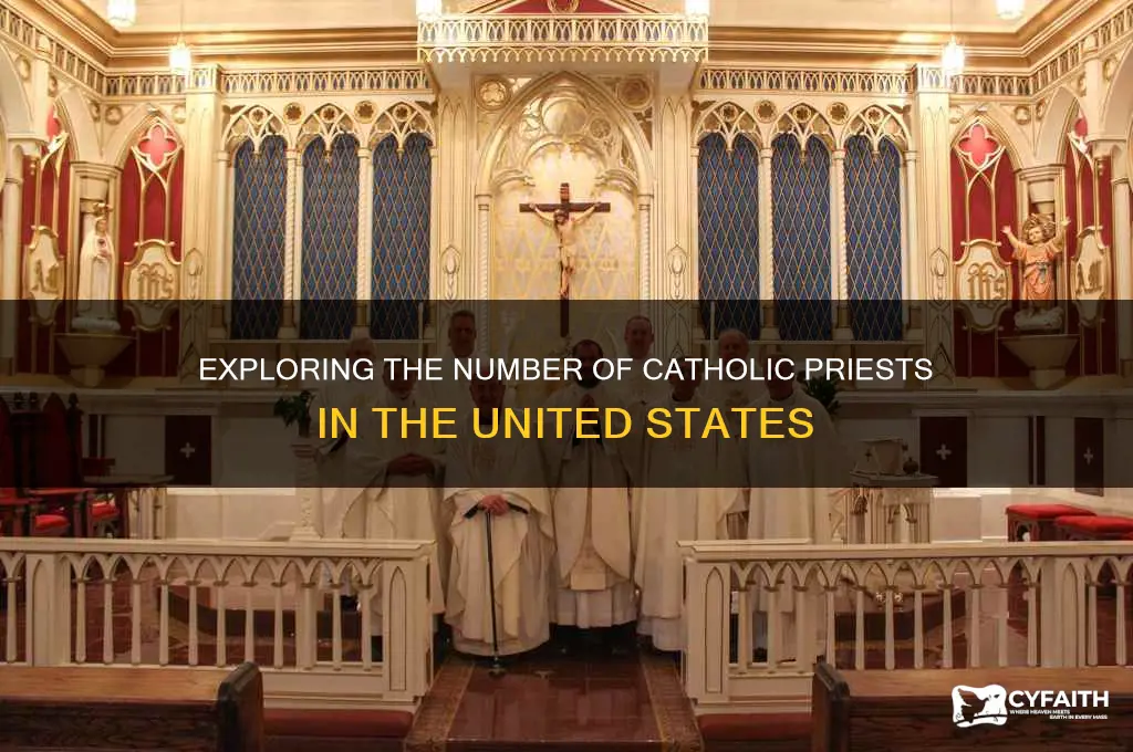 how many catholic preists are there in the united states