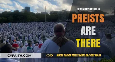 The Global Number of Catholic Priests