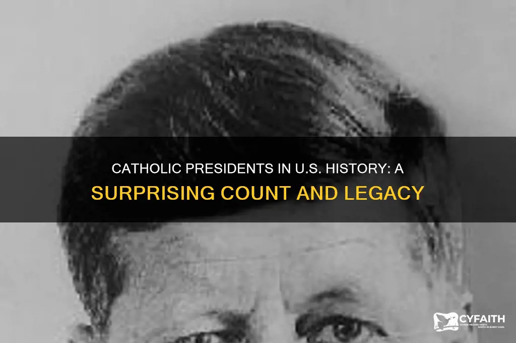 how many catholic preisxdents