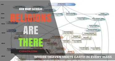 Exploring the Many Catholic Faiths