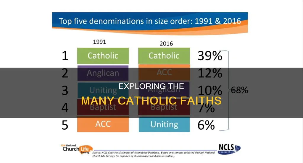 how many catholic religions are there
