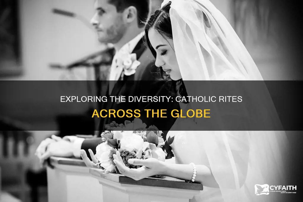 how many catholic rites are there