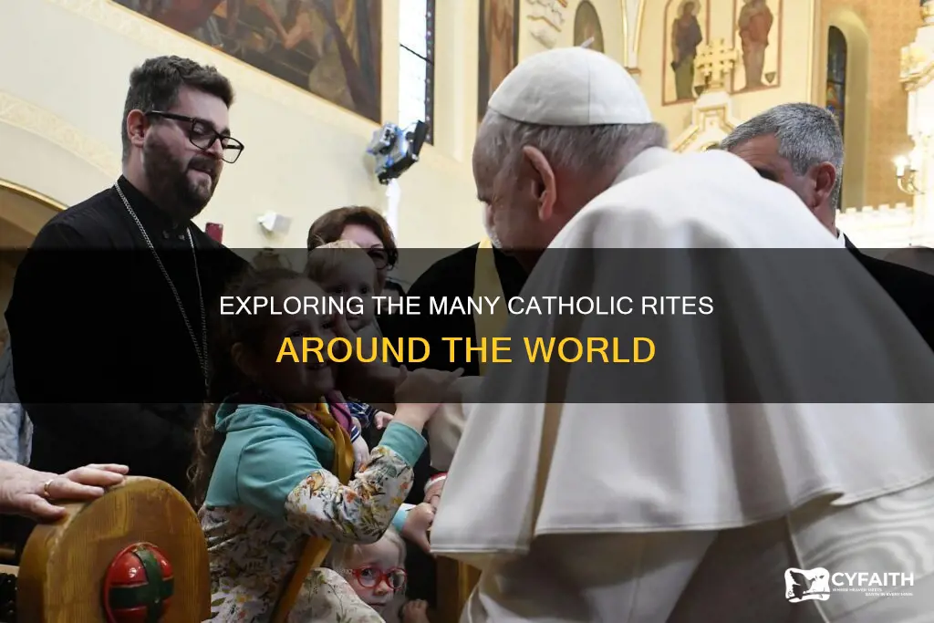 how many catholic rites in the world