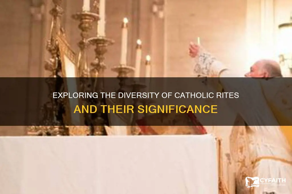 how many catholic rites