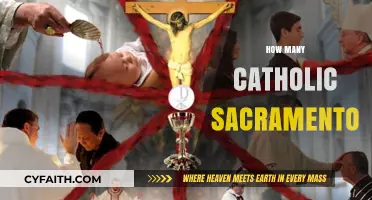 Exploring the Seven Catholic Sacraments: Meaning and Significance