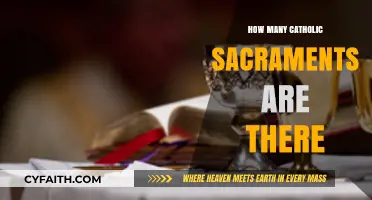 The Seven Sacred Catholic Sacraments: What Are They?