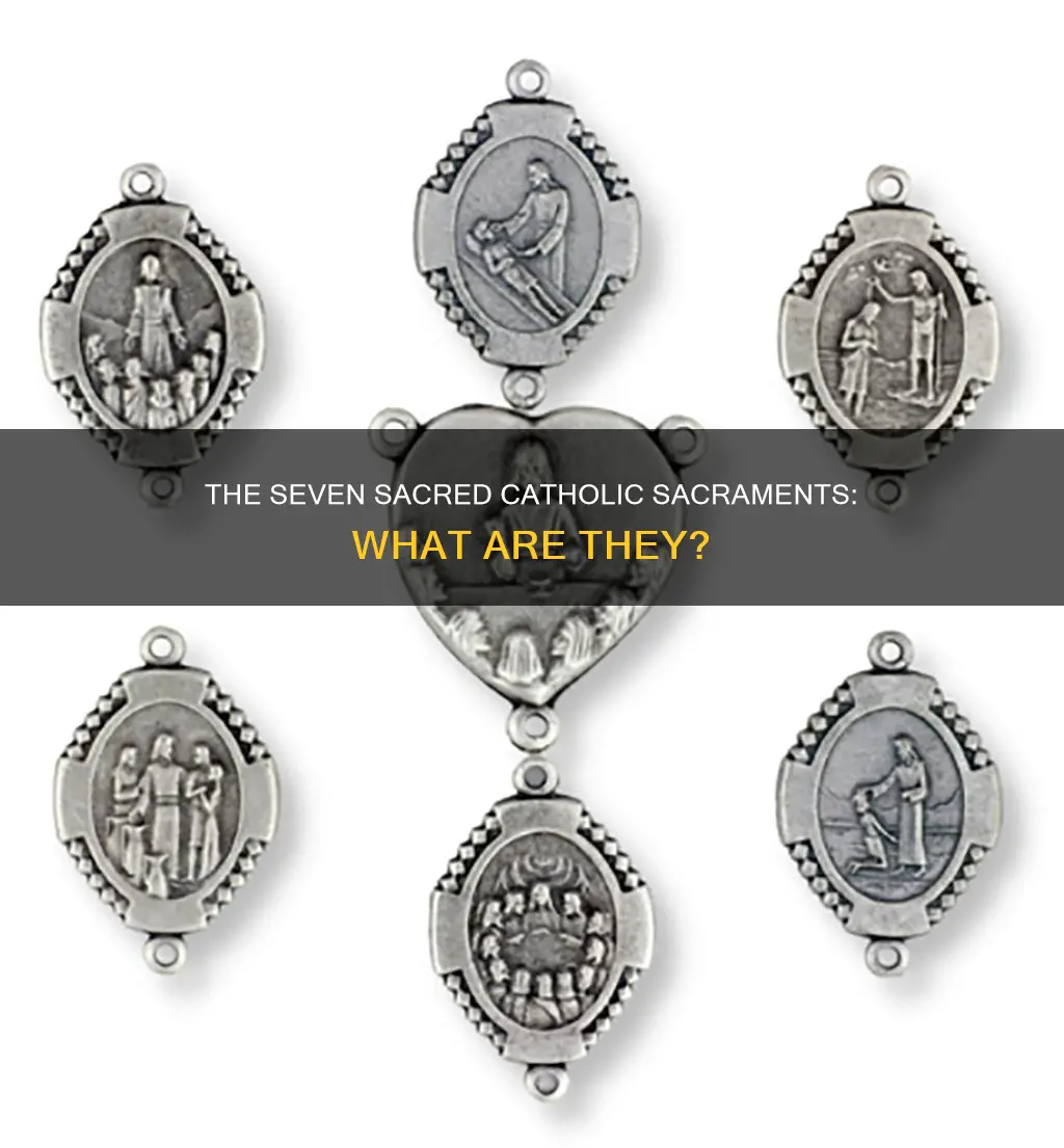 how many catholic sacraments are there