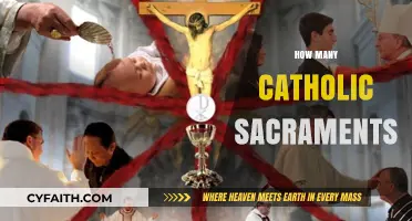 Exploring the Seven Catholic Sacraments: Meaning, Purpose, and Practice