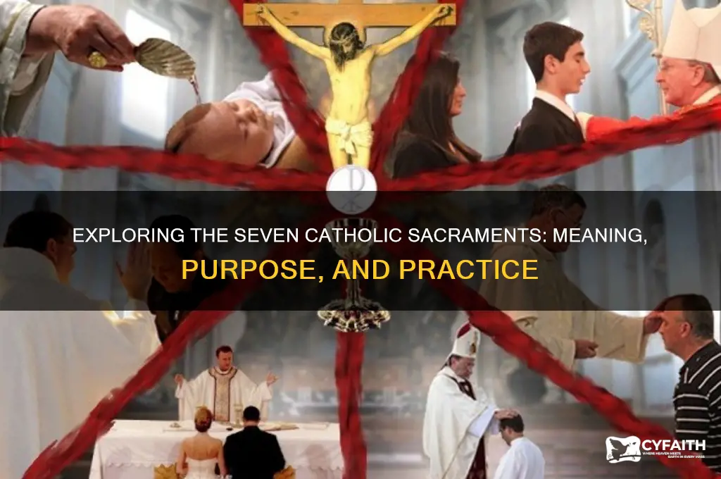 how many catholic sacraments