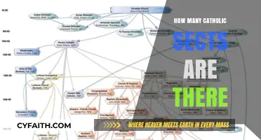 Exploring the Diverse Catholic Sects: How Many Exist?