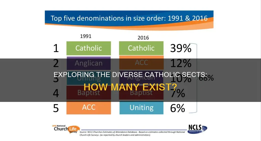 how many catholic sects are there