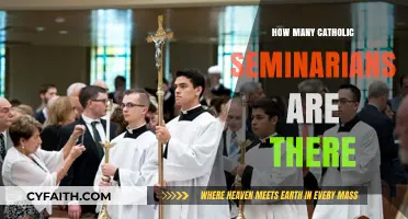 The Steady Decline of Catholic Seminarians
