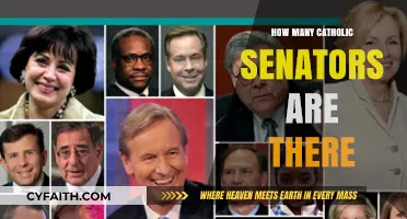 Catholic Senators: How Many Represent in the US Senate?