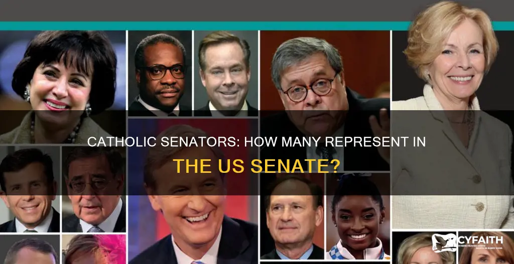 how many catholic senators are there